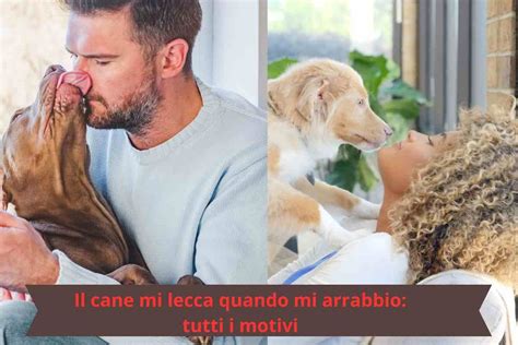 perchè il cane mi lecca|cani leccano perché.